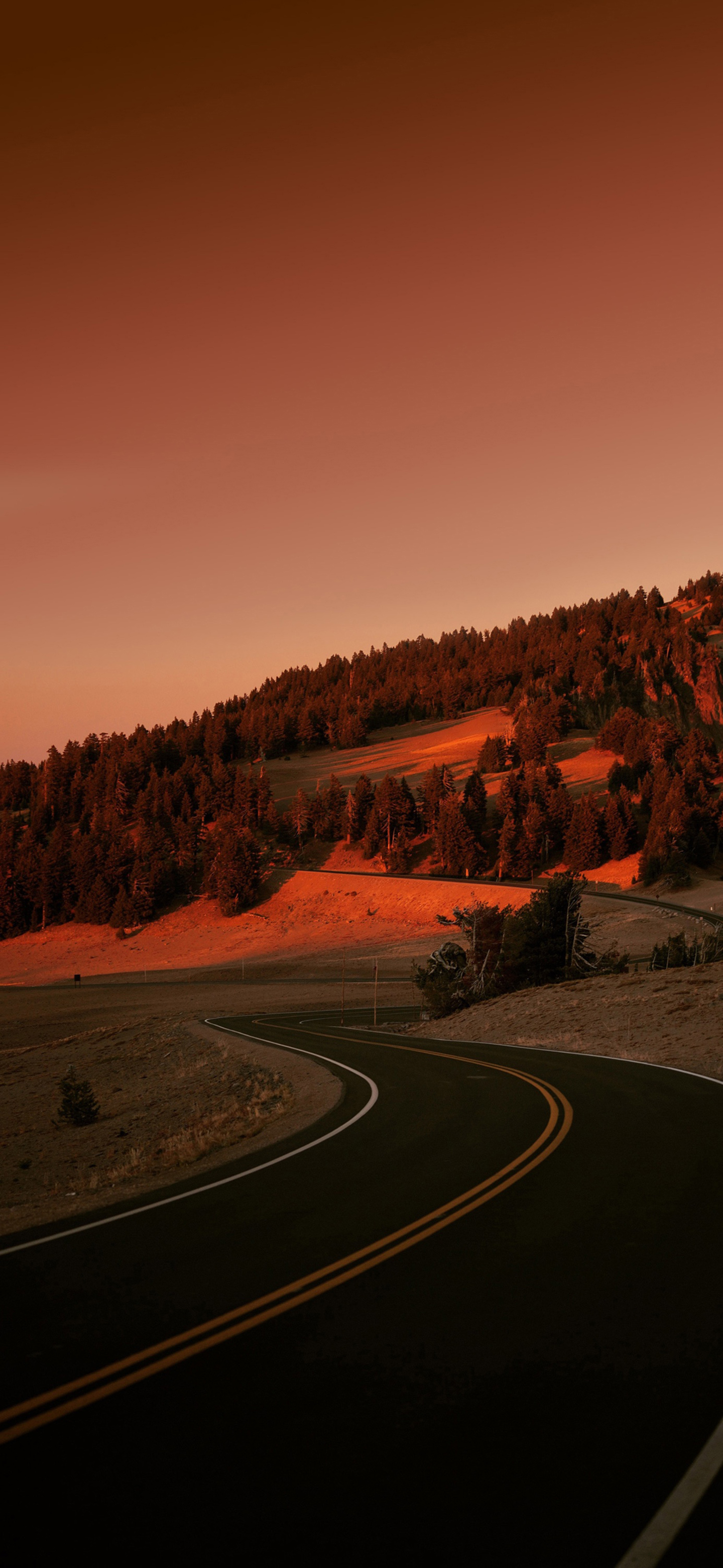 夏天风景竖屏壁纸,夏天有小路风景壁纸