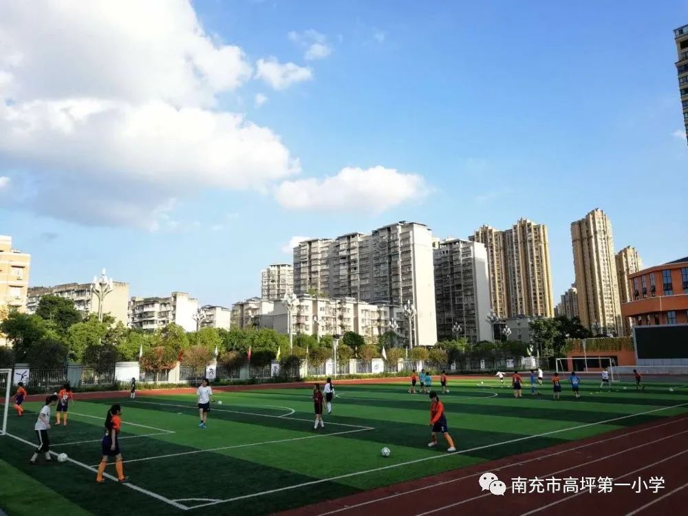 绿茵场上挥洒的青春,绿茵场上挥洒汗水追逐梦想