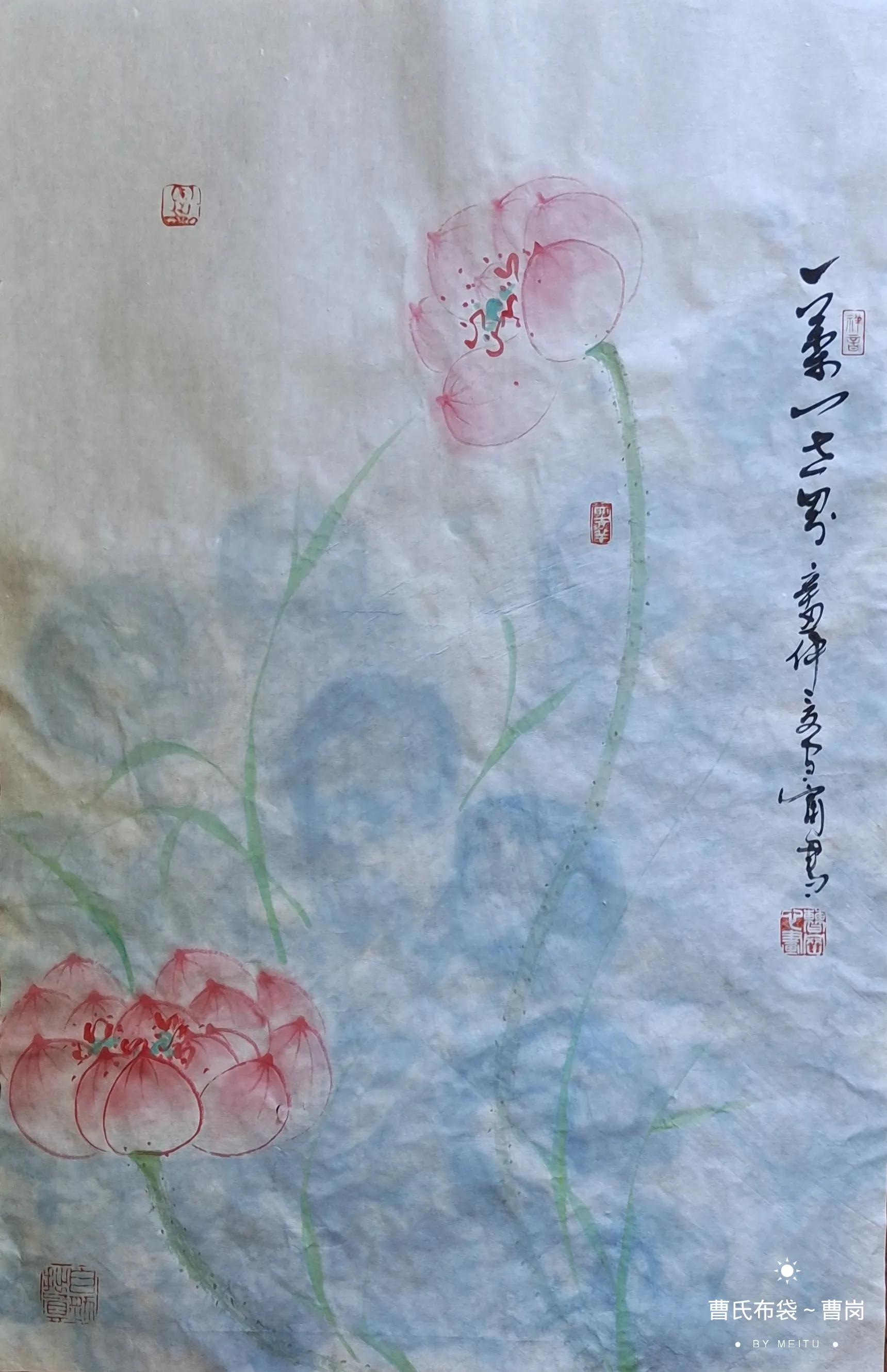 净土莲花~佛荷缘