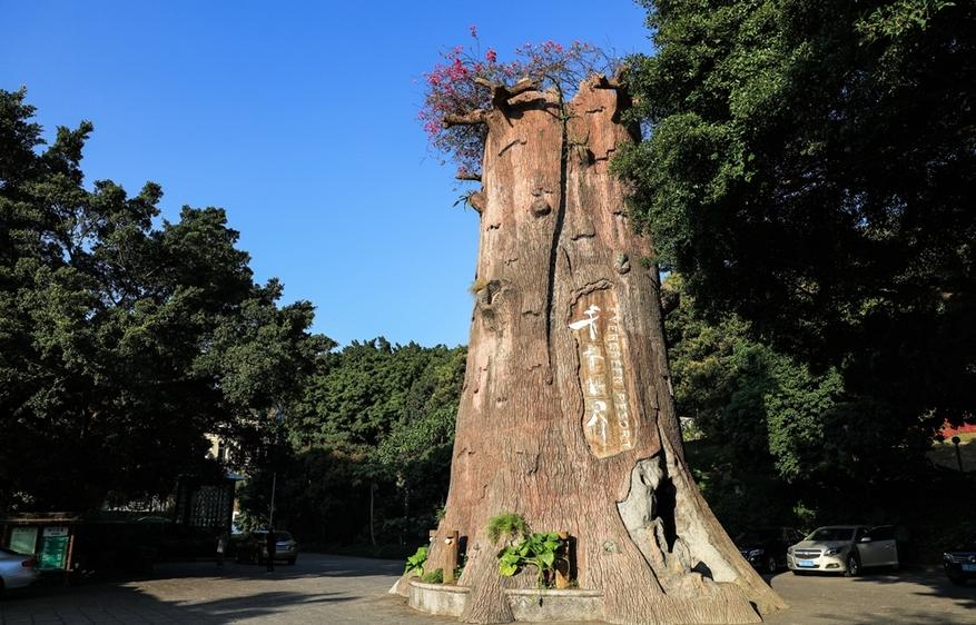 aaaa级旅游景区地图,AAAA级景区