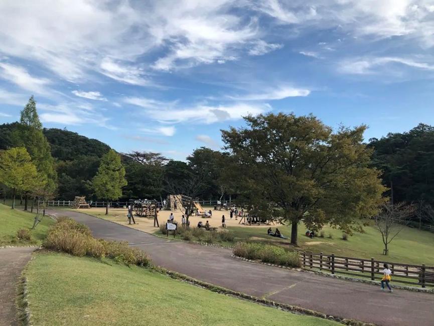 这家日本牧场，因为一只会“微笑”的小羊，游客增长1.5倍