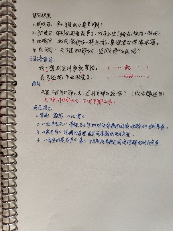 语文二年级上册第五单元知识梳理,部编人教版二年级语文第五单元