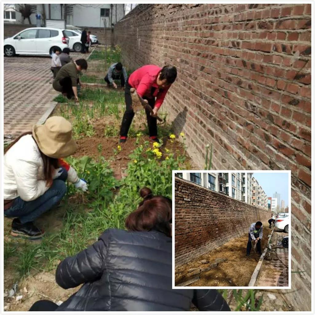 恒信物业管理问题,恒信物业是几星级物业