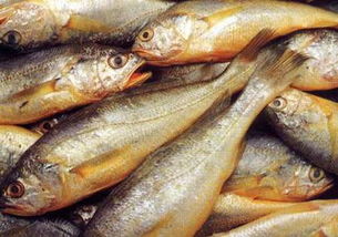 吃奶粉dha需要额外补充吗 (宝宝需要额外补充dha吗)