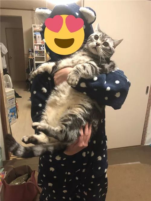 老板，这圆滚滚地怎么恢复出厂设置，说好的小可爱呢？