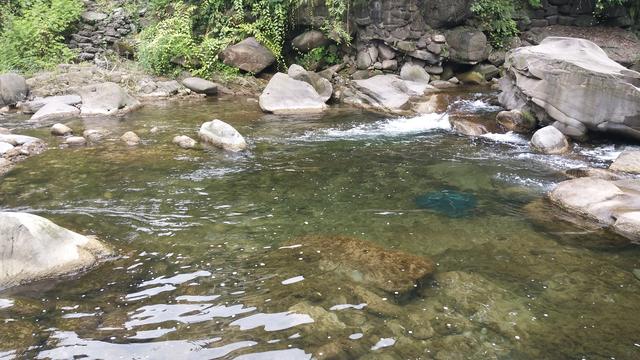 成都又可以钓鱼又可以露营的地方,成都又能钓鱼又能露营的地方