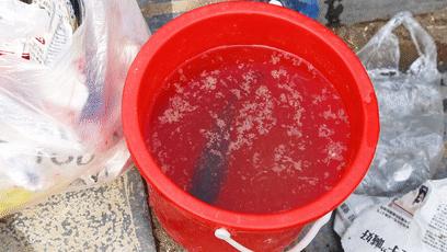 今天，带郑州的老铁们逛吃后河芦