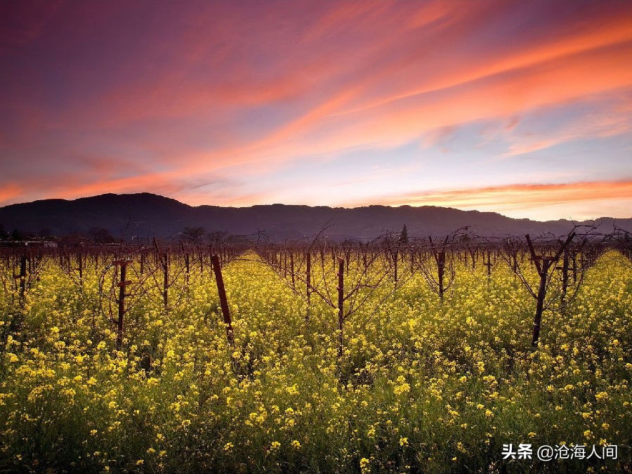 鲍勃迪伦音乐全集,blowinginthewind鲍勃迪伦