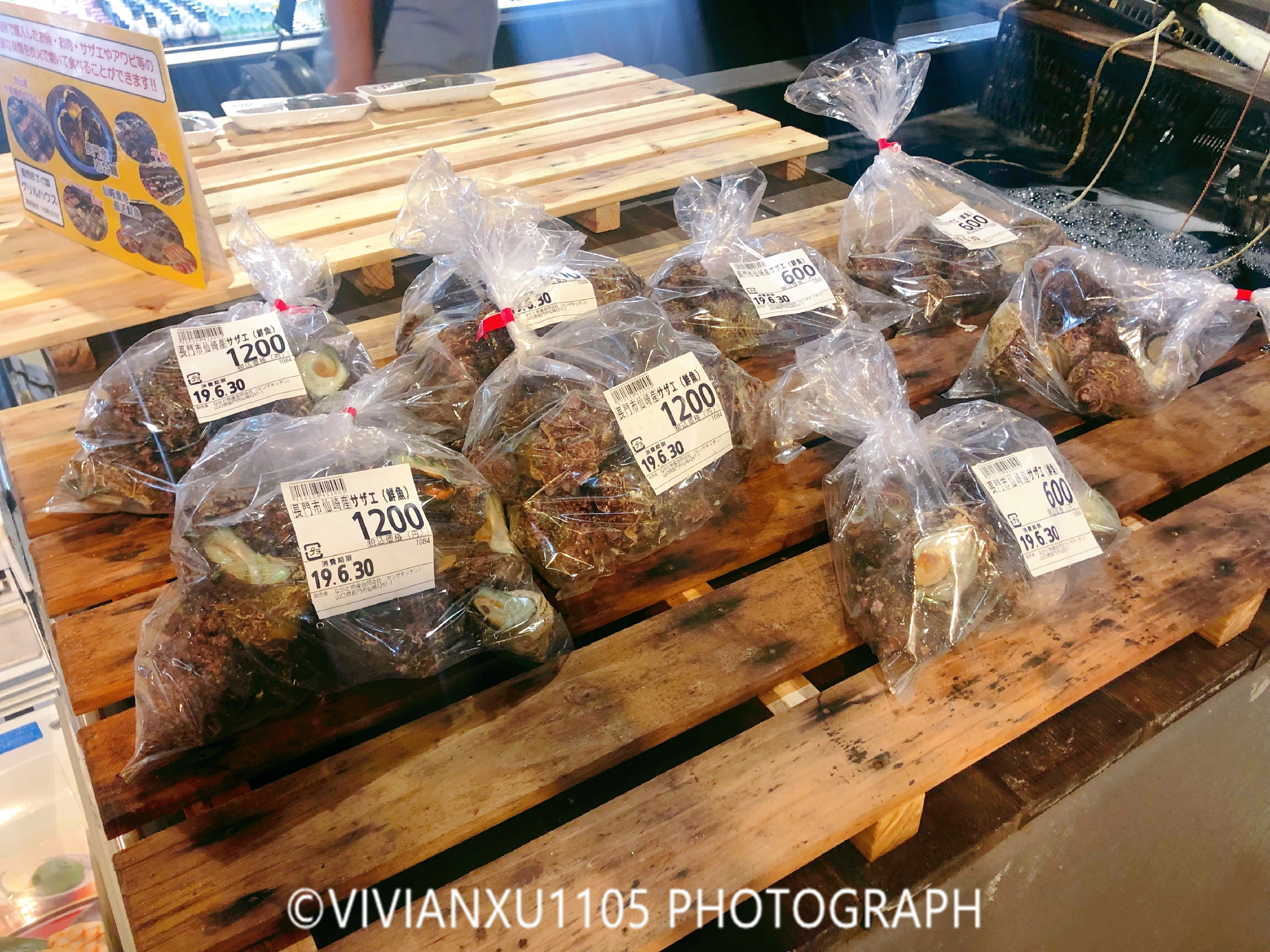 日本本州岛山阴山阳地区纯玩行程美图合集