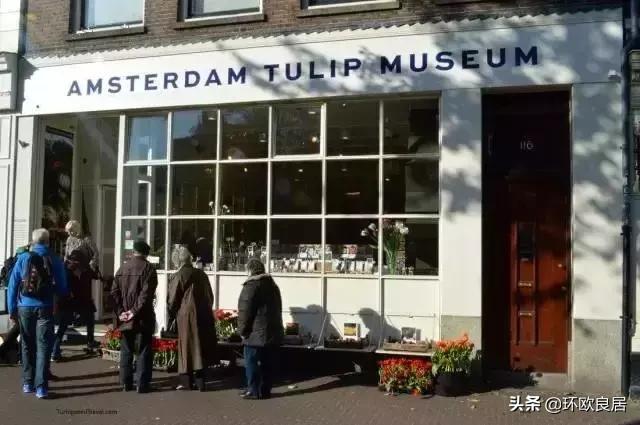 错过郁金香的阿姆斯特丹,荷兰赏花景点推荐