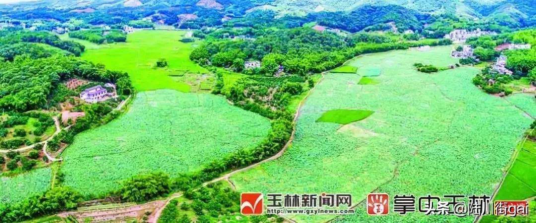 广西容县，一幅独具魅力的壮丽画卷