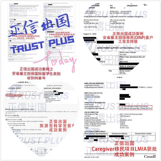 多伦多租房哪个区最好,在多伦多买公寓还是独立屋