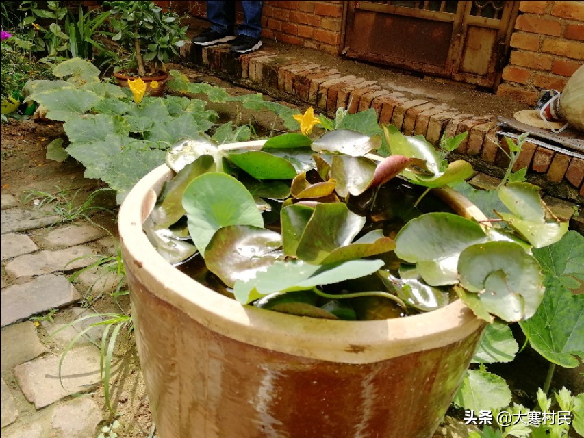 蹲的时间长一站起来头晕,蹲的时间长站起来突然晕一下