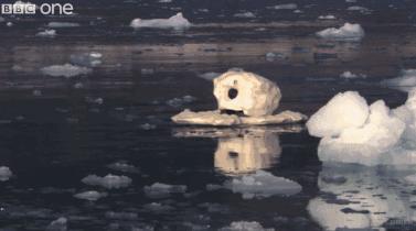 这6部电影足以秒杀大部分电影,十部必看旅行纪录片人文纪录片