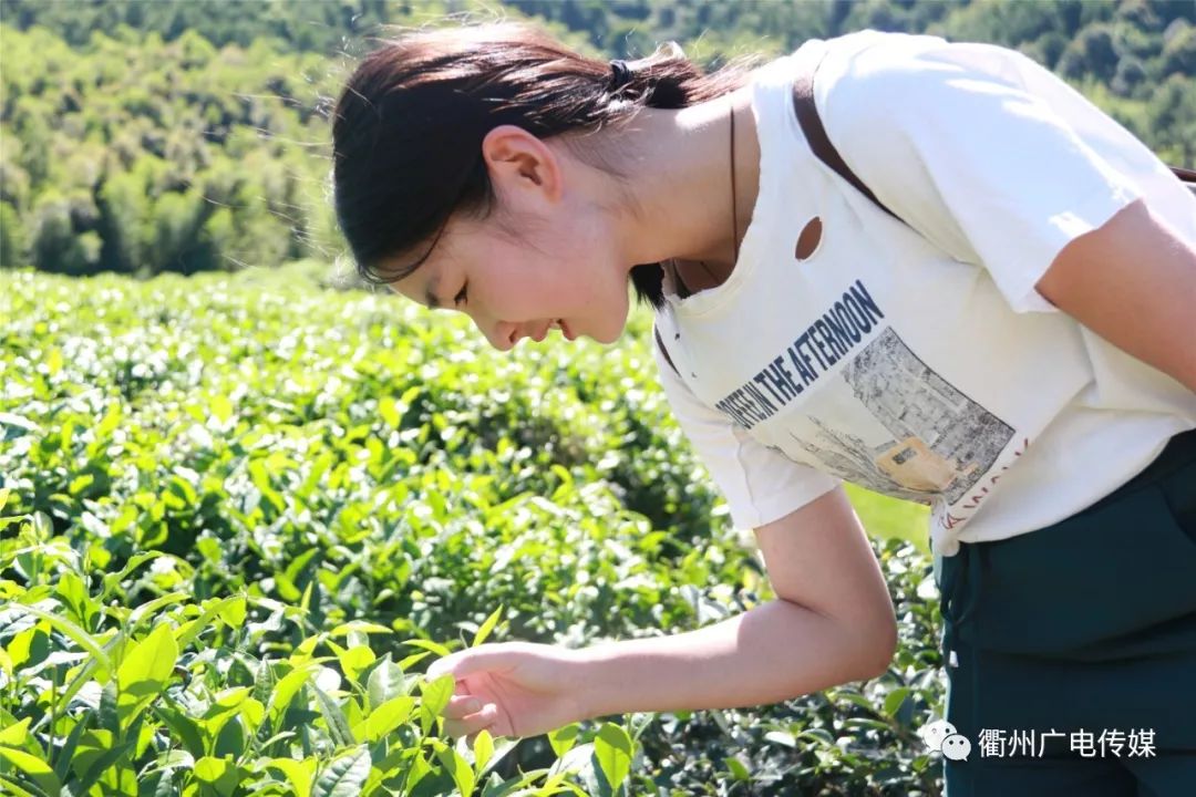 衢州森林运动小镇,衢州投资120亿文旅