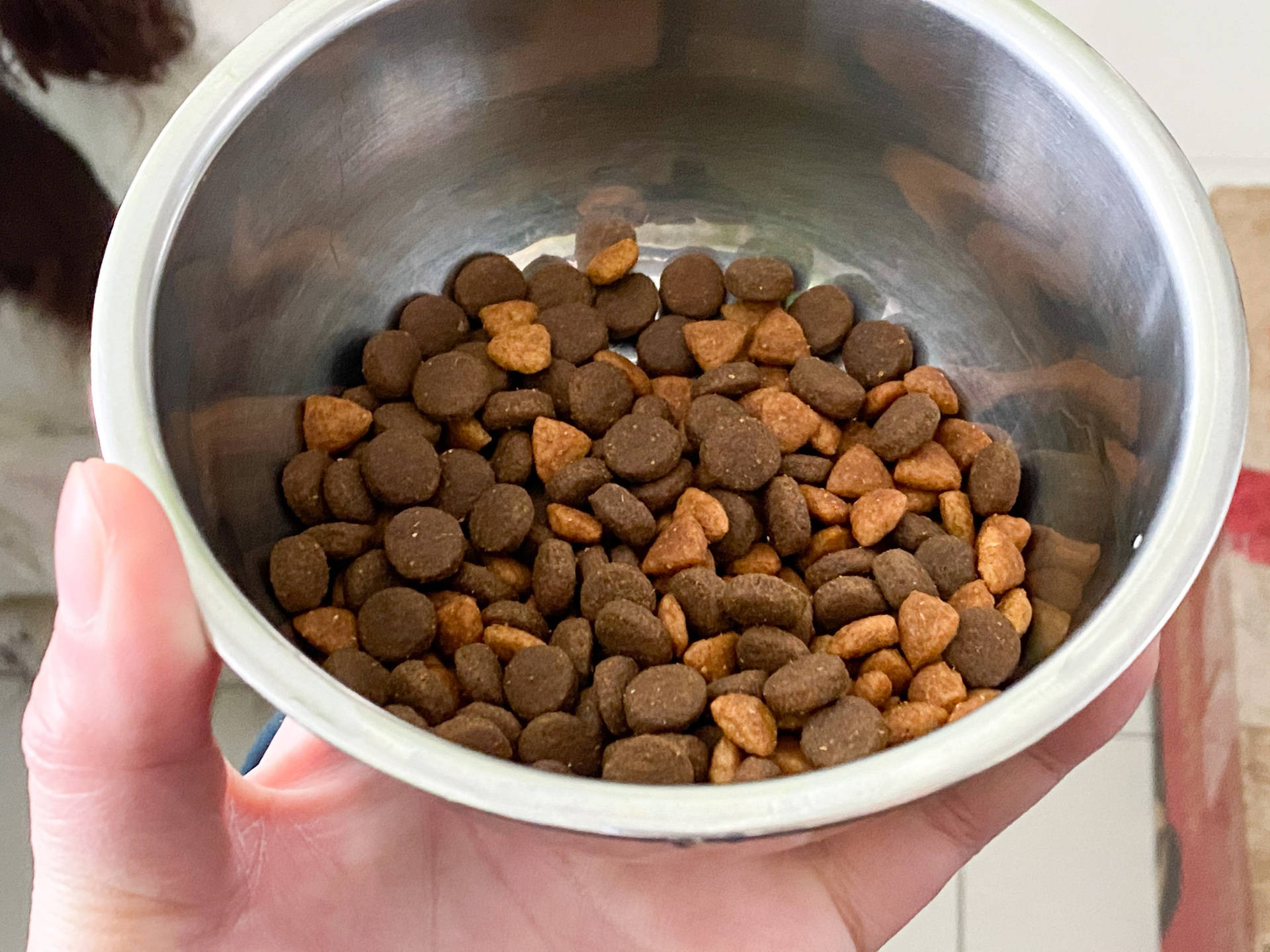 汪星人吃什么狗粮好,汪星人吃什么狗粮好一点