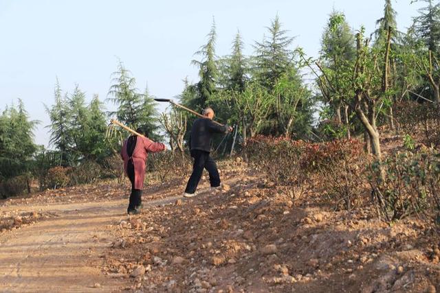 浠ユ按娑﹀煄,娑﹀煄娌抽亾娌荤悊宸ョ▼