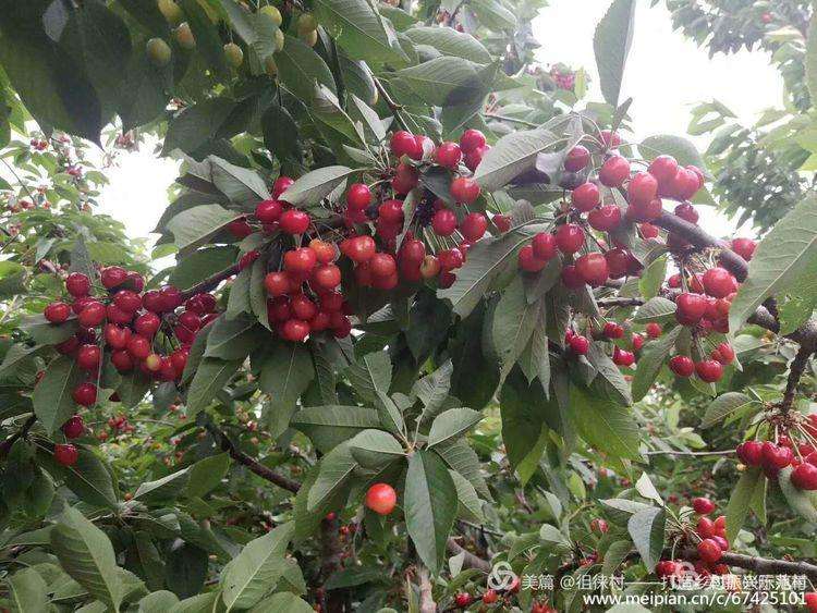 大美徂徕山,徂徕山美景如画