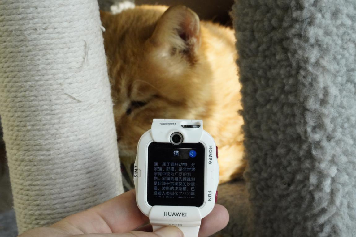 华为儿童手表4x和3pro有什么区别,华为儿童手表4x和小米5xpro哪个好