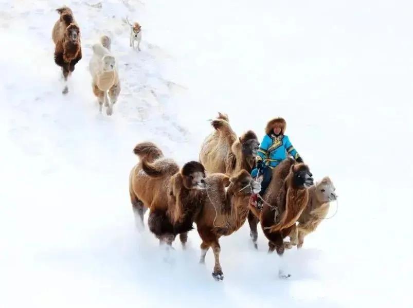 冬已至春来到,冬天来通辽去哪玩