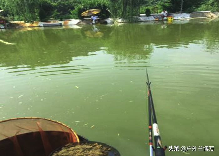 经常钓黑坑的人会怎么样,黑坑怎么做到钓不上鱼呢