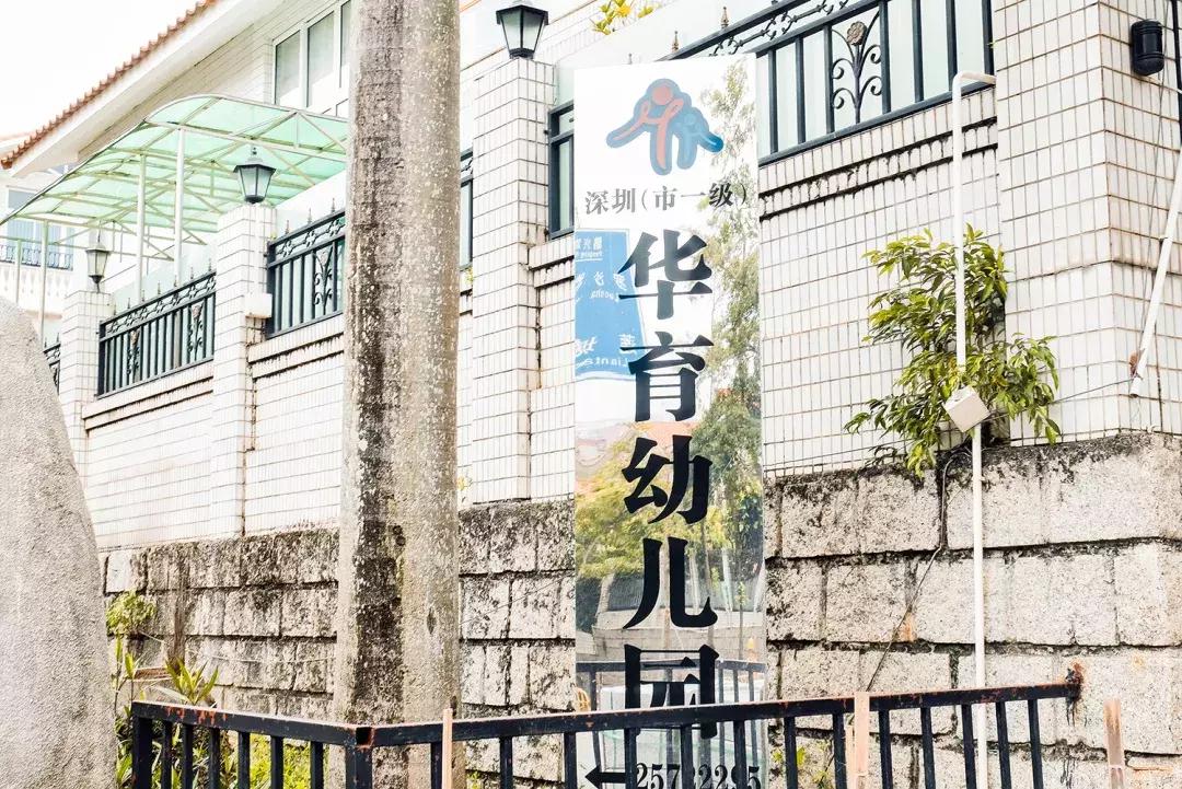 隐藏在梧桐山里的世外桃源,深山独门独户世外桃源