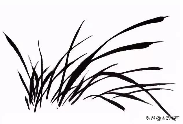 徐湛国画兰花技法教学,国画兰花入门技法