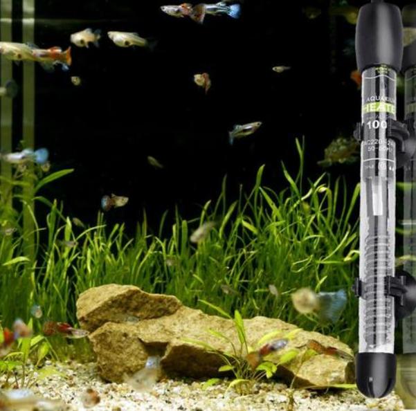 鱼药基础知识,养鱼人的疑难杂症