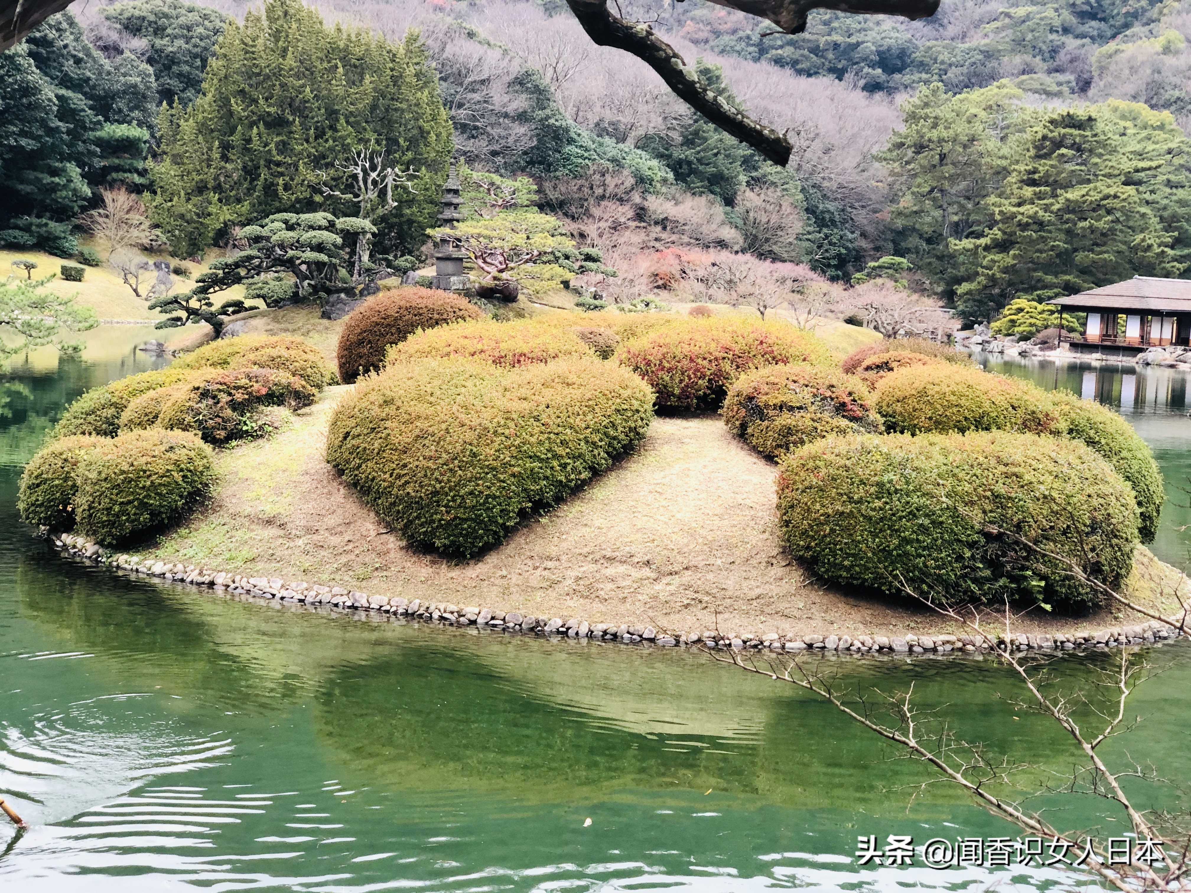 日本的米其林三星餐厅,日本米其林三星参观