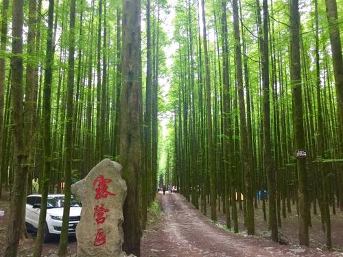 重庆避暑凉快的地方,重庆人都去贵州哪里避暑最好