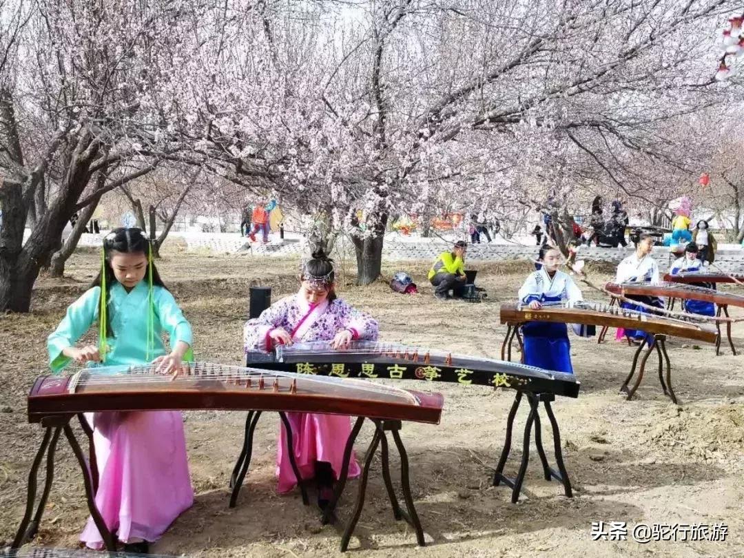 敦煌夜市现在还开吗,祝贺敦煌夜市开市