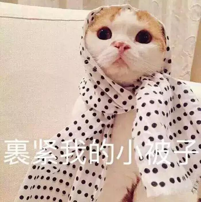 我的年度爱用饰品分享,我的年度爱用物品