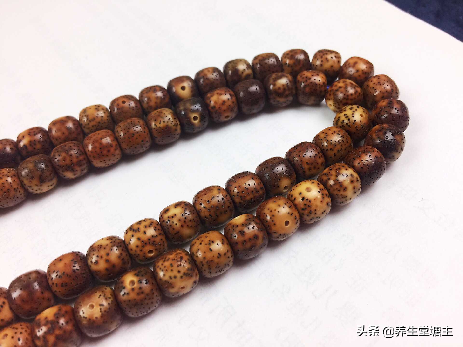 如何盘出一条好看的菩提,怎么盘出一条包浆的凤眼