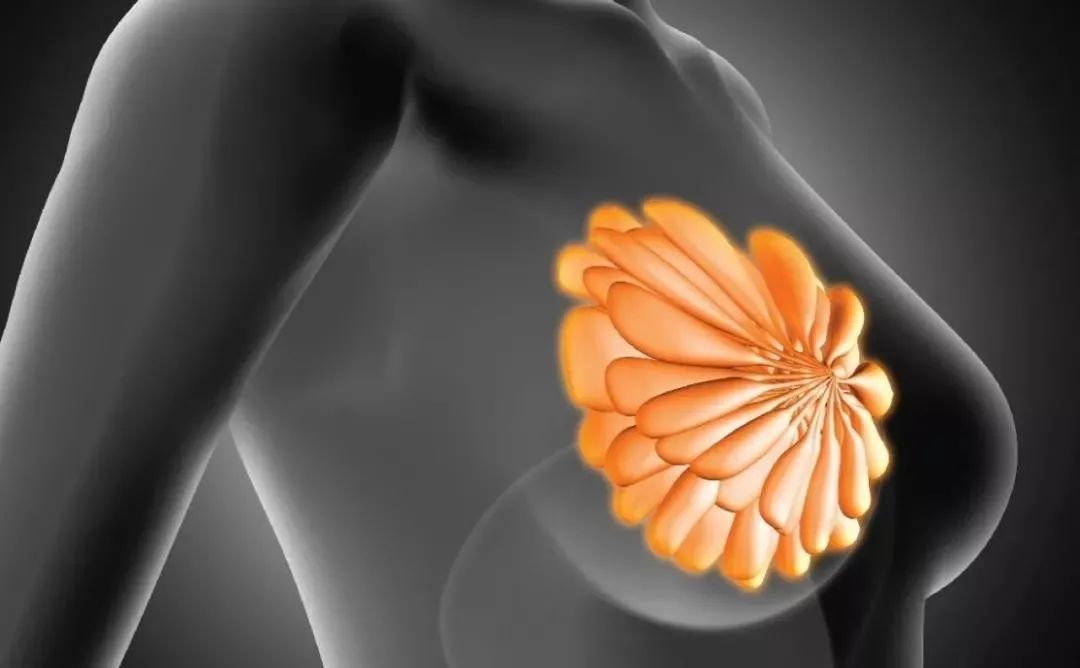 单亲妈妈如何买保险（下）