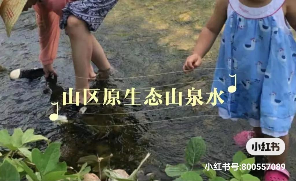走进赣南脐橙,附近的赣南脐橙