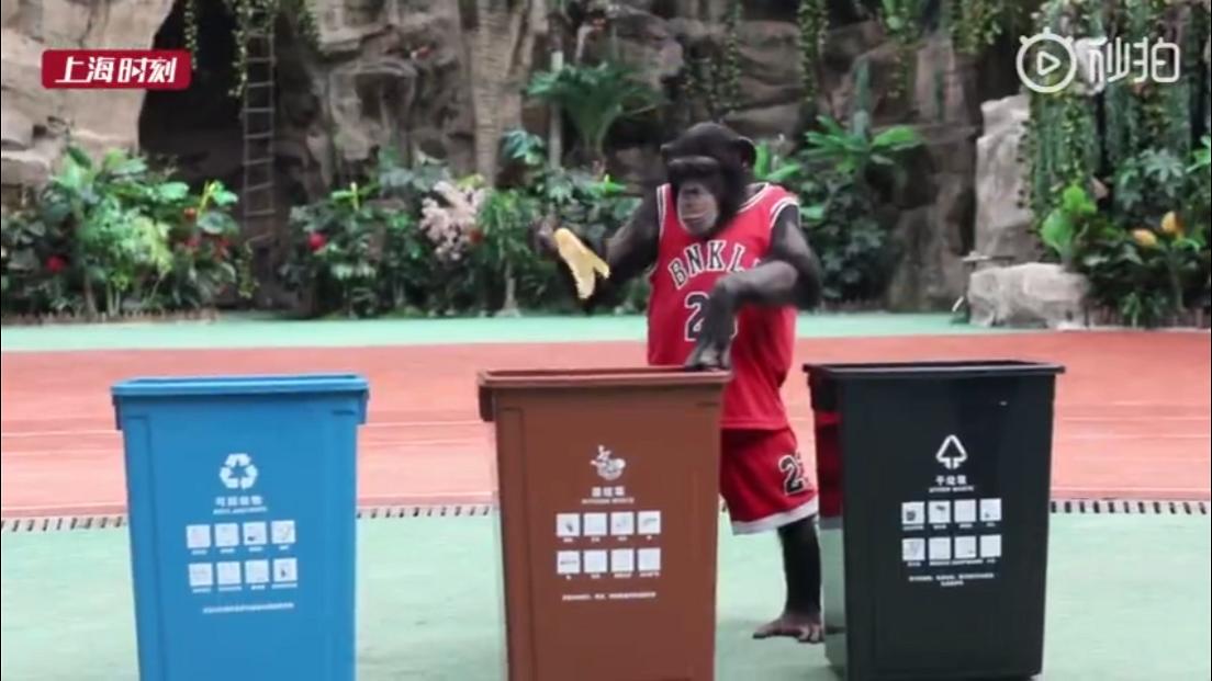 自媒体垃圾文章,垃圾文章100字