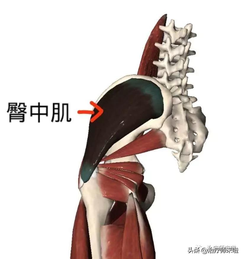怎样可以使腿型更直,如何使腿型更好