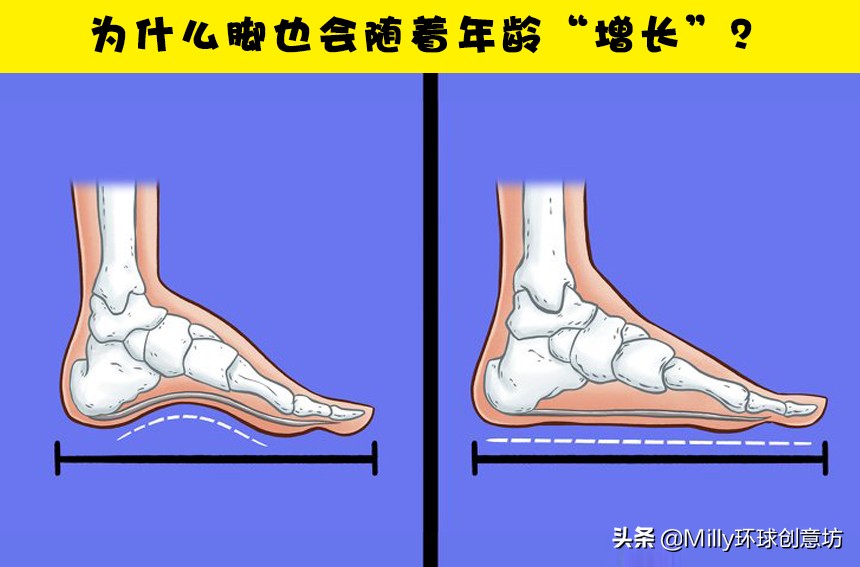 为什么随着年龄增长脚变大,为什么成年了脚还在长大