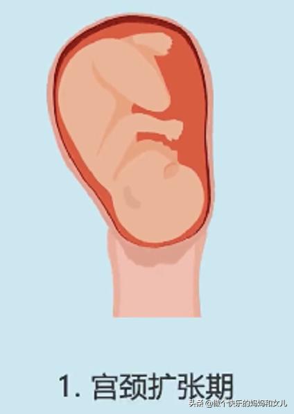 预产期喝蜂蜜水能加快生产吗,喝蜂蜜水真的可以催产