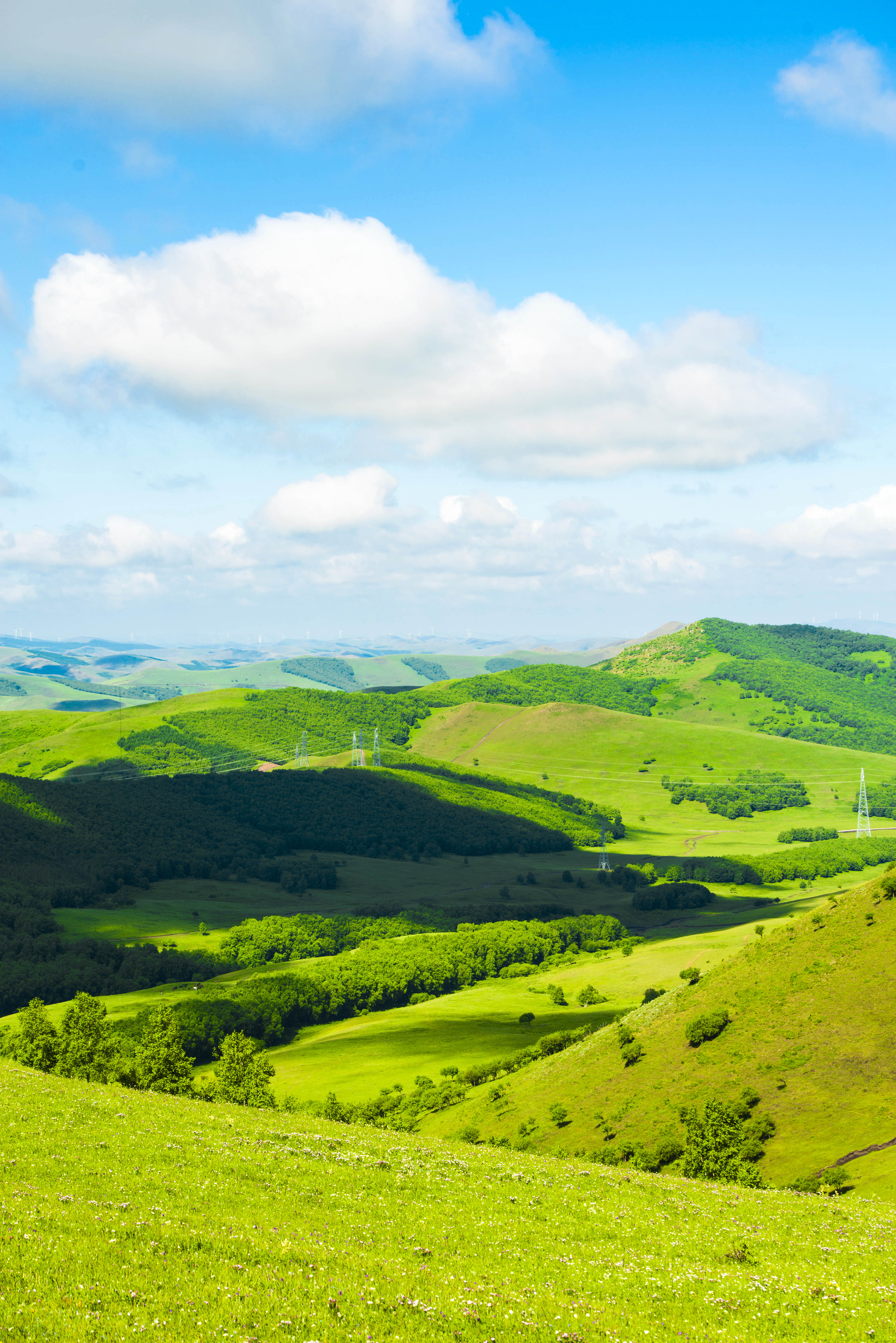 京北第一天路千松坝森林公园,京北第一草原景区和千松坝