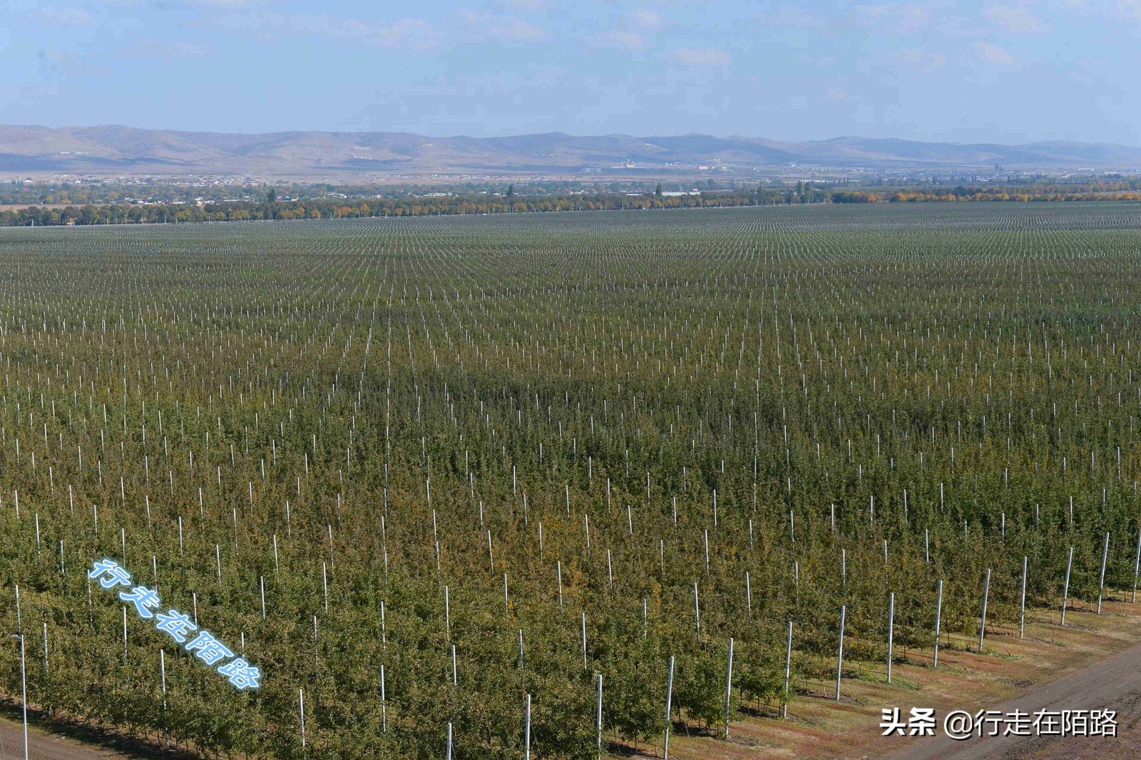 生活成本低的亚洲国家,亚洲生活成本最低国家