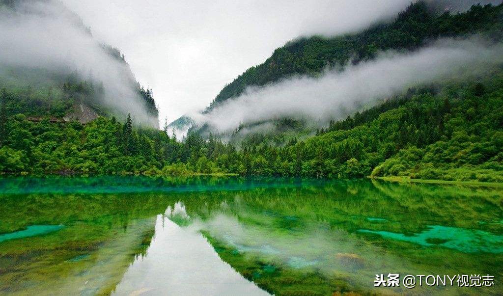 佳能尼康!新手选单反相机,推荐这几款机型,你get到了吗