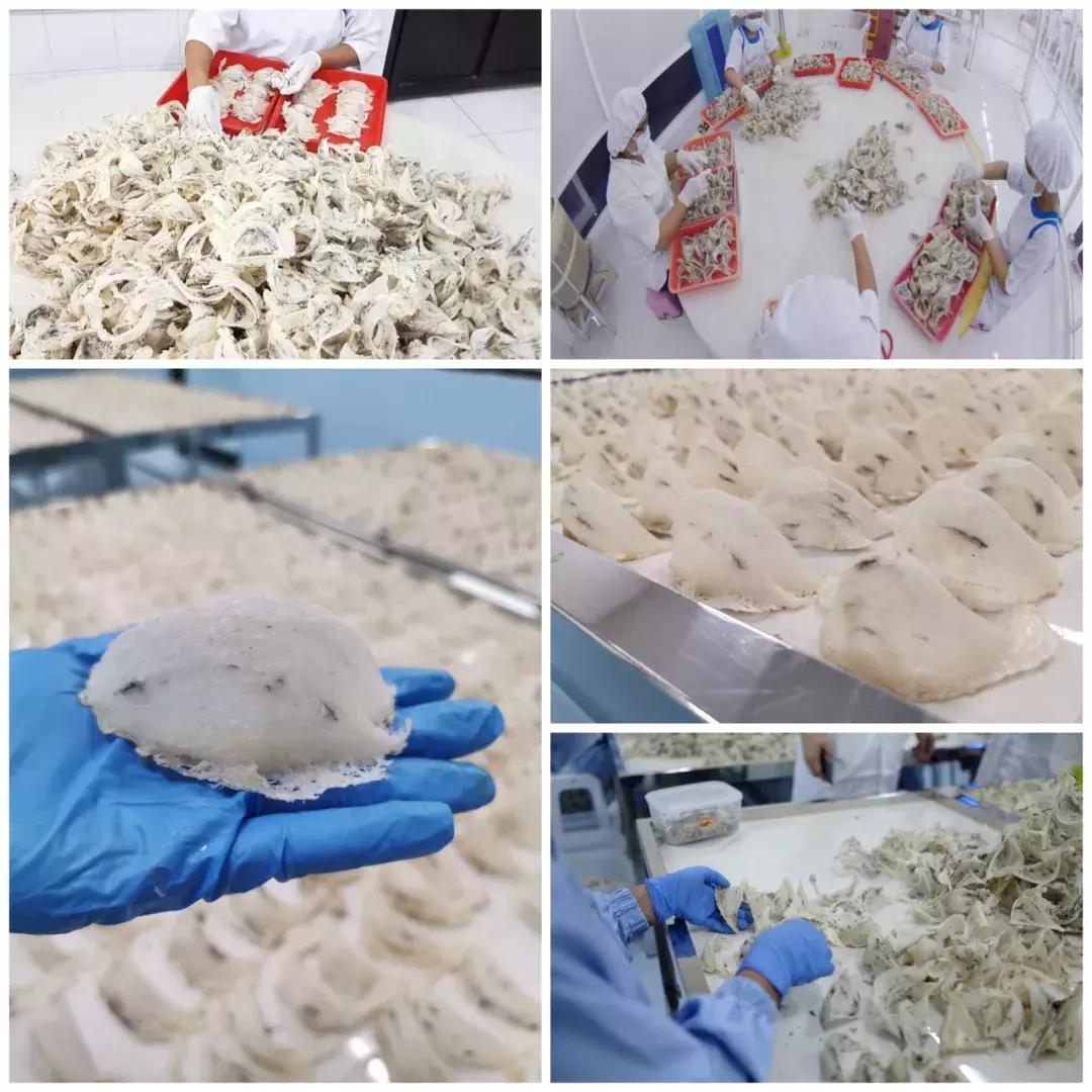 最全的燕窝知识科普,燕窝科普篇