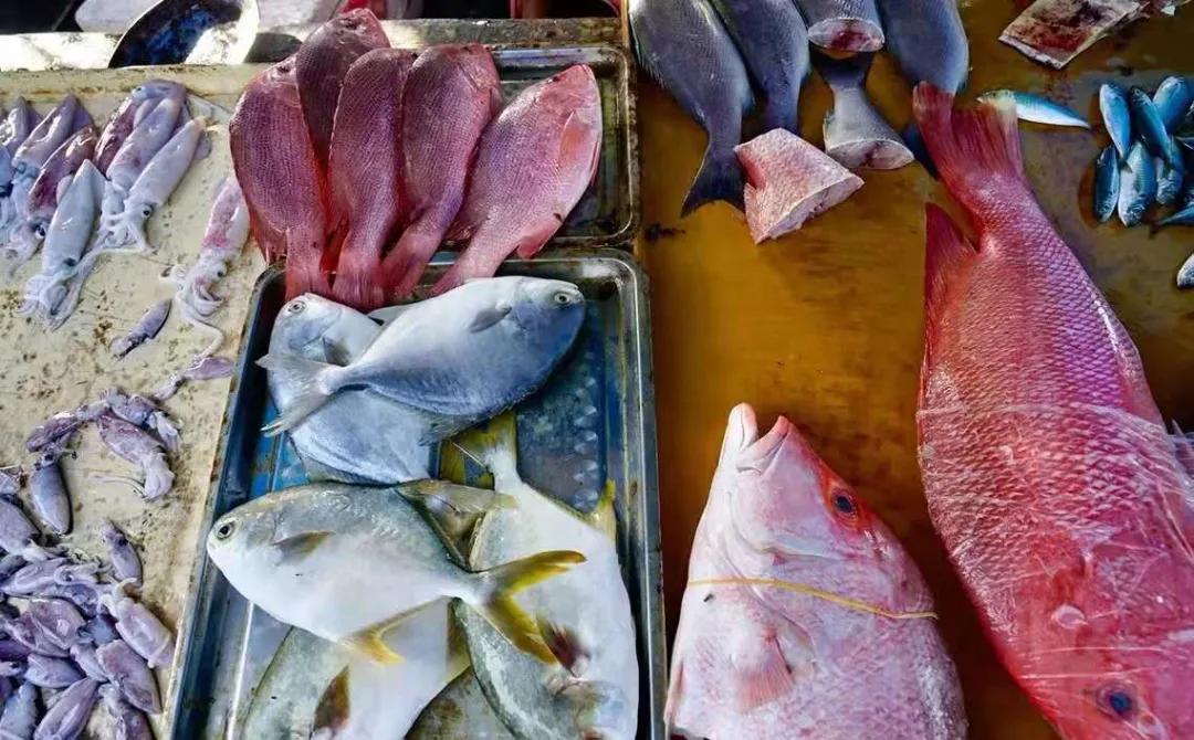 在海南岛最霸气的渔港码头,海南十大渔港码头