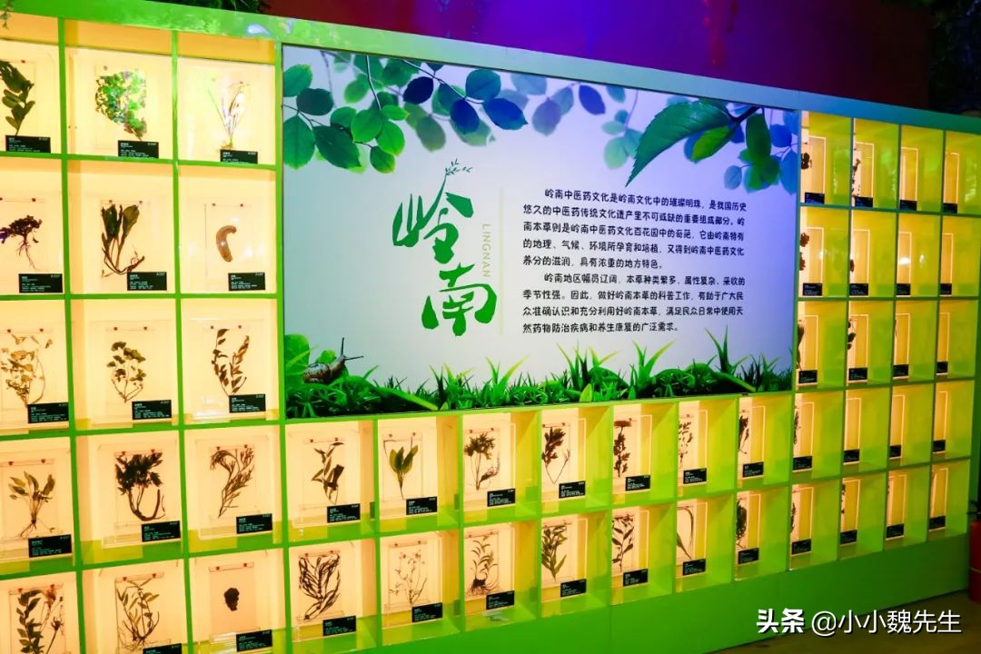 珠海有没有比较好的景点,珠海最漂亮群岛