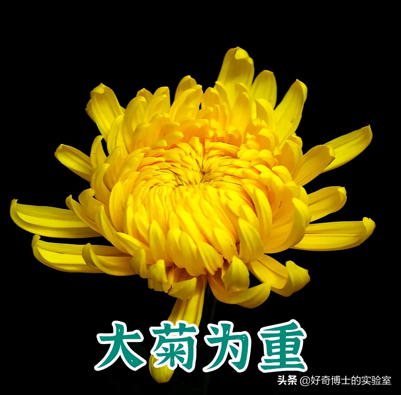 为什么大便总是想把屎夹断,大便到底该不该夹断