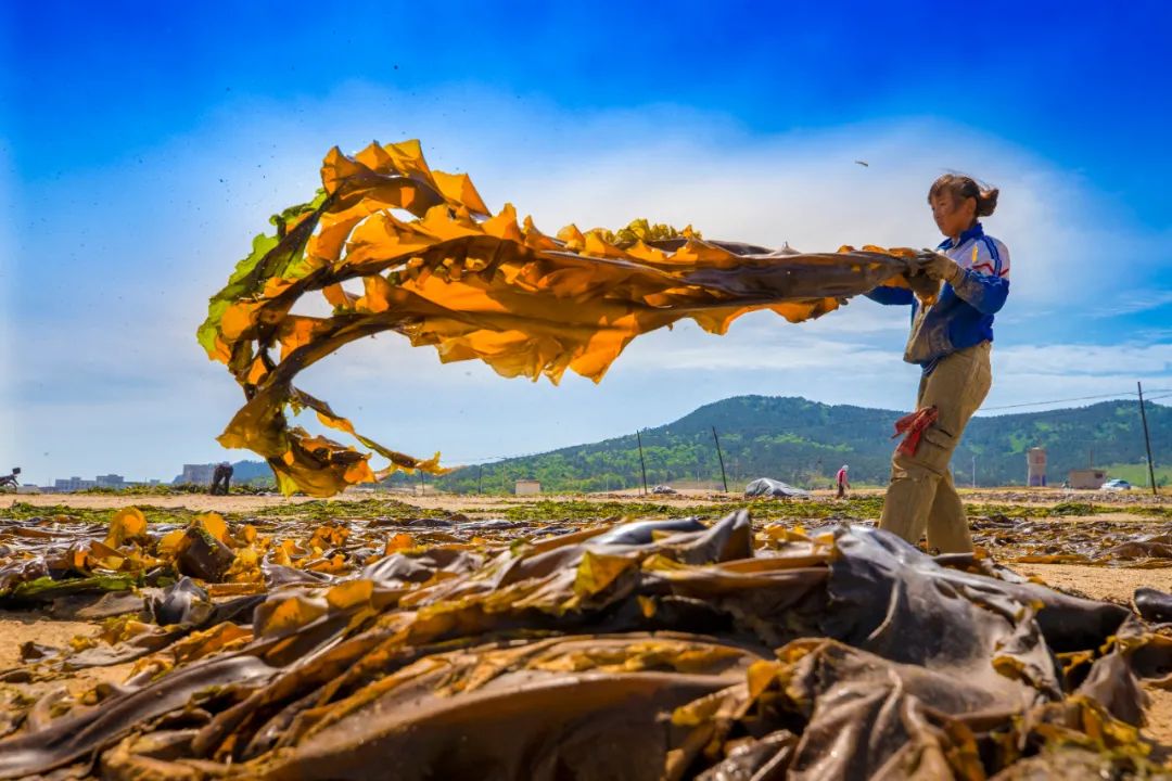 走向我们的小康生活9张海报,幸福新时代主题摄影作品