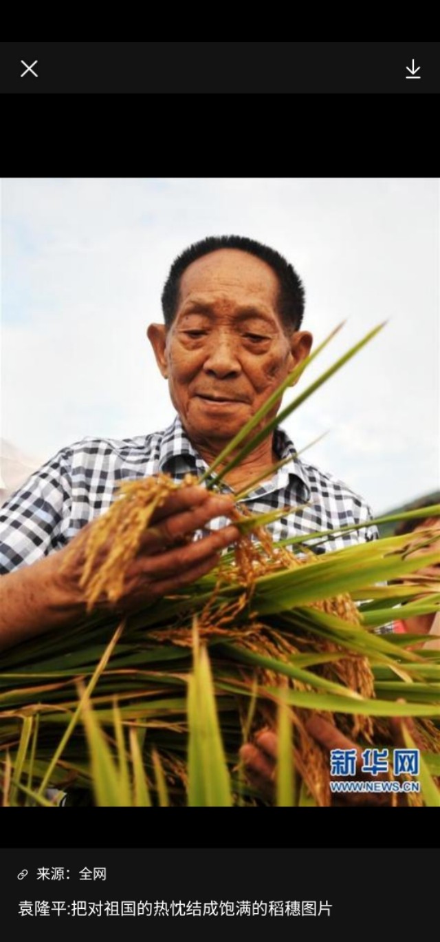 有事钟无艳无事夏迎春含义,有事钟无艳无事夏迎春是什么意思