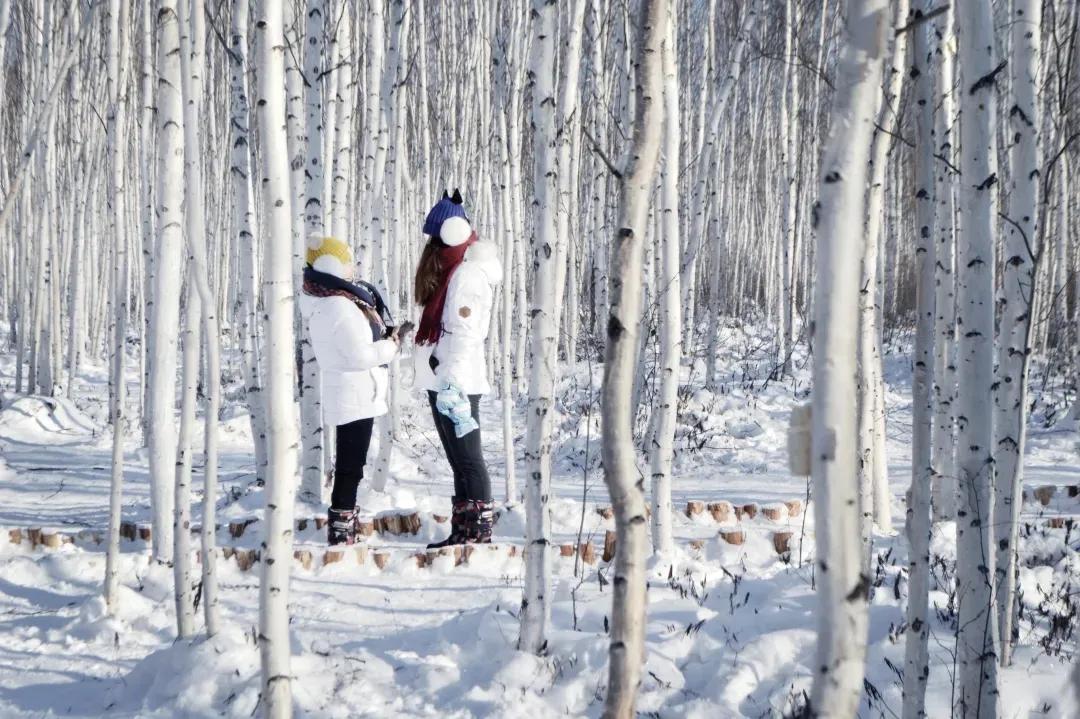 当芬兰童话遇见北欧森林：零下40℃的中国“北极”，美炸了