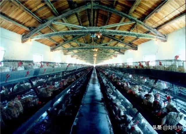 兖州矿务局兴隆庄煤矿,兖州煤业有限公司兴隆庄煤矿